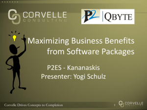 Maximizing Business Benefits from Software Packages