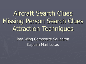 Search Clues and Attraction Techniques