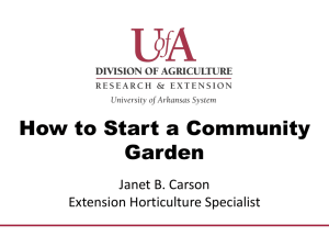 Start a Community Garden