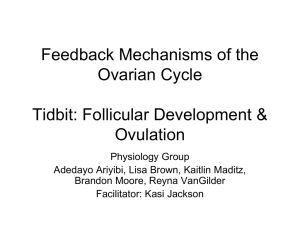 Feedback mechanisms in ovarian cycle