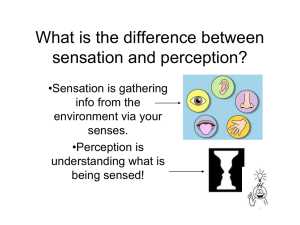 What is the difference between sensation and perception?