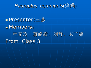 Psoroptes communis(痒螨)