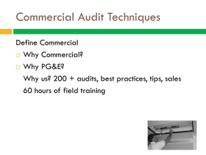 Commercial Audit Techniques