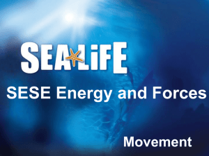 SESE Senior Cycle : Movement