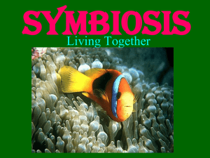 Symbiosis[1]
