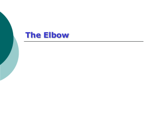 The Elbow - CatsTCMNotes