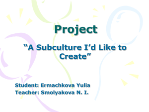 Project “A Subculture I`d Like to Create”