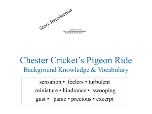 Chester Cricket`s Pigeon Ride