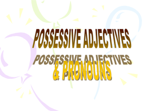 Possessive Adjective 2