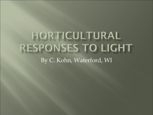 Hort Responses to Light