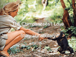 The Chimpanzees I Love Vocabulary