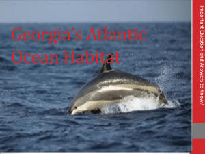 Georgia`s Atlantic Ocean Habitat Region