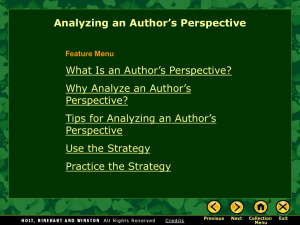 What is an author`s perspective?