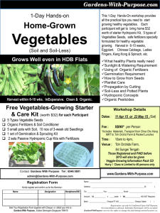 flyer_Vegetable_1Day2015 - Copy