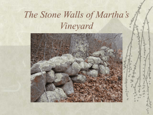 The Stone Walls of Martha`s Vineyard