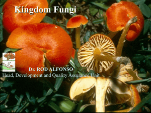 Intro to Fungi