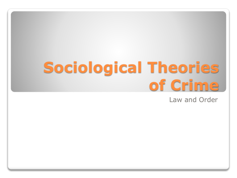 What Are The Theories Of Crime Under Sociological Factor