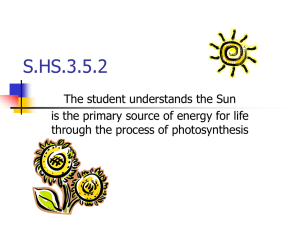 3.5.2: Photosynthesis