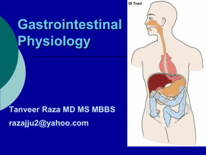Gastrointestinal Physiology Tanveer Raza MD MS