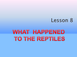 lesson-9 what happened to the reptiles