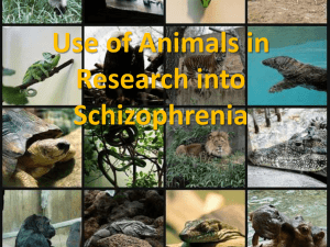animals used in schizophrenia research ppt