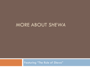 The Rule of Shewa
