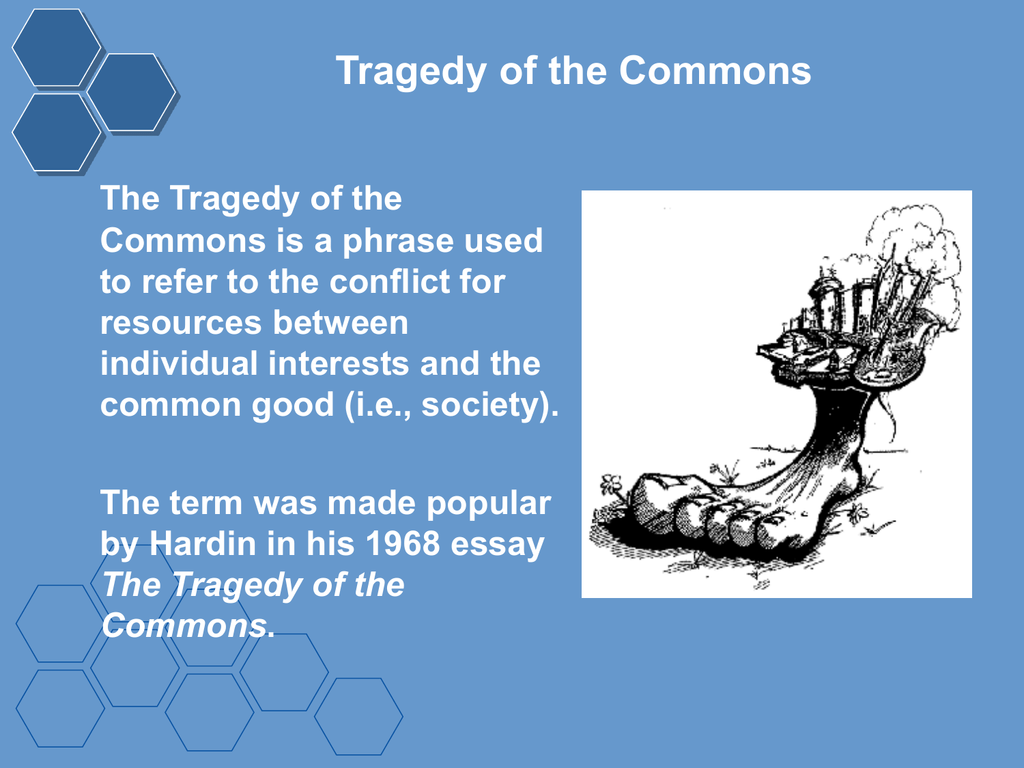 tragedy of the commons tourism