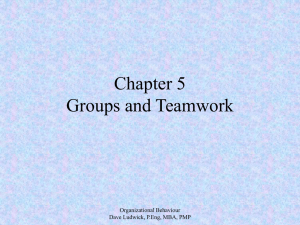 Organizational Behaviour Chapter 5 - Groups