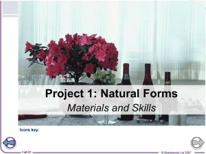 Project 1: Still Life - Materials and Skills