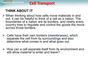 Lesson Overview Cell Transport