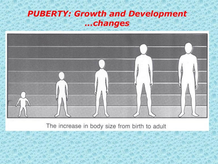 Puberty Body S Changes Powerpoint Teaching Resources Vrogue Co