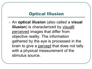 Optical Illusion
