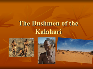 Where are the Bushmen?