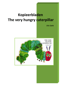 Kopieerbladen The very hungry caterpillar