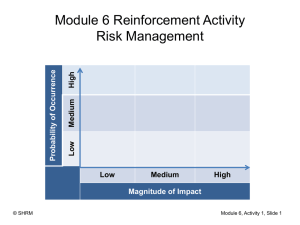 Module 6 Reinforcement Activity Risk Management