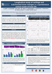 Poster 5. Longitudinal study of cartilage and subchondral bone