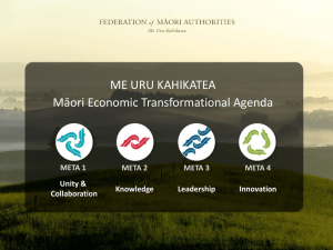The roles and opportunities for Maori agribusiness in the sheep and
