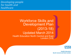 HE NCEL Workforce Skills and Development Plan 2013-18