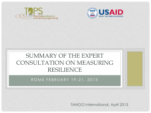 Expert Consultation on Measuring Resilience