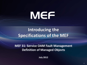 MEF 31