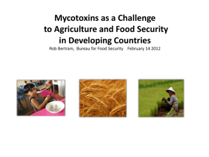 Mycotoxins as a Challenge to Agriculture and Food Security in