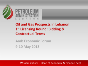 Bidding & Contractual Terms Arab Economic Forum 9