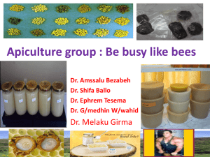 Group work apiculture - LIVES
