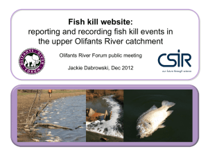 Fish kill website - Olifants River Forum