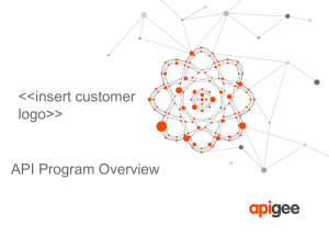 Customer API Program Overview