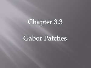 Gabor Patches are presented through Gaussian windows