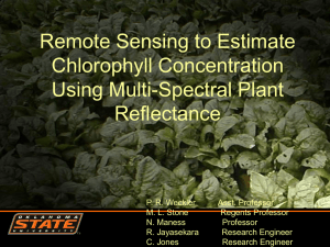 Remote Sensing to Estimate Chlorophyll Concentration Using Multi