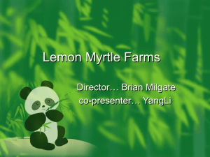 Lemon Myrtle Farms - Australia China Trade & Investment