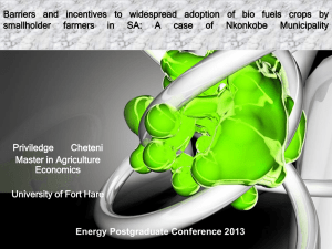 Cheteni_P - Energy Postgraduate Conference