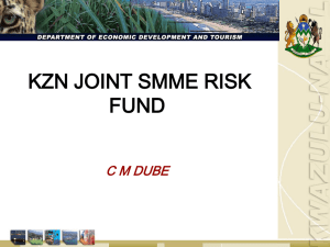 Kzn Joint Smme Risk Fund - KZN Economic Development & Tourism